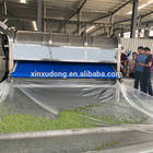 automatic Green peas peeling machine green pea peeler