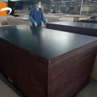 hardiflex marine sizes laminated marine philippines plywood
