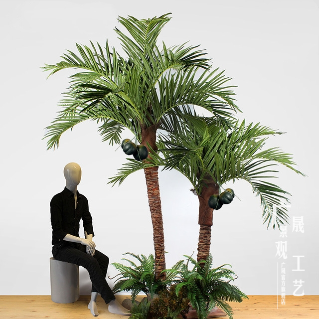 China Palm Tree Tree China Palm Tree Tree Manufacturers And