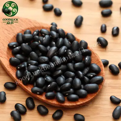 Dried China Black Bean Price