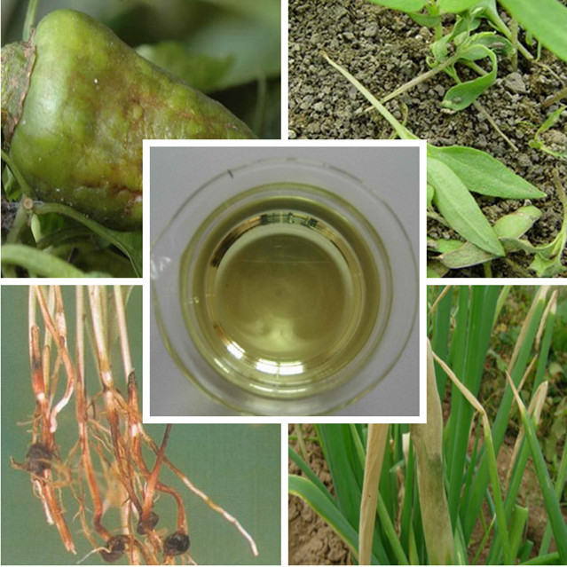 High Effective Factory Price Fungicide Ethylicin 90%EC Cas 682-91-7