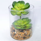 Mini Potted Tabletop Potted Indoor Artificial Succulent Glass Bonsai_HC-BS13034