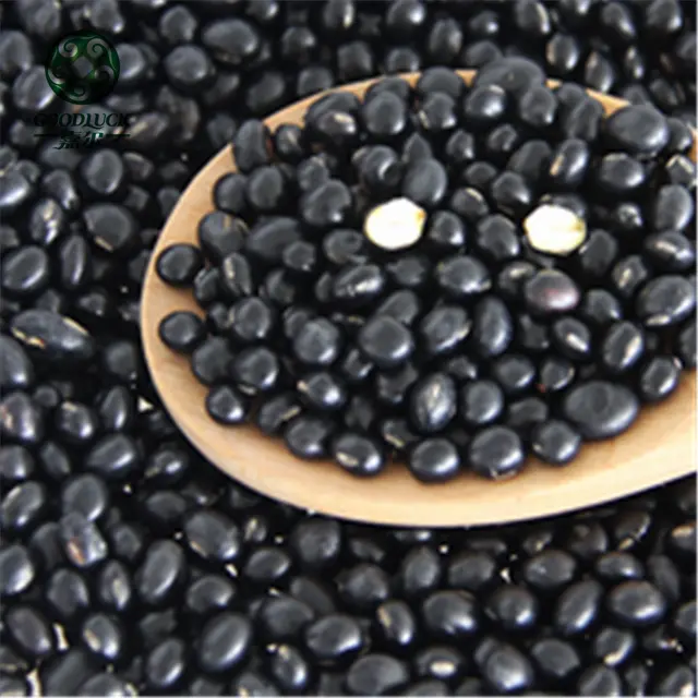 Dried Brisbane Black Beans With Green Kernels for Sale Market Price
