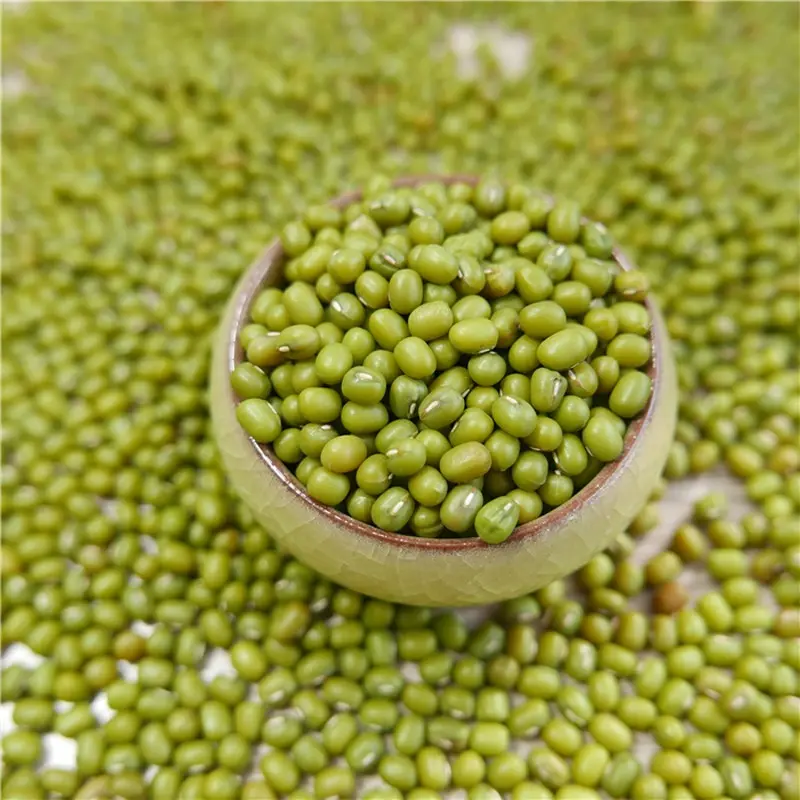 prime quality Green Mung Beans for sprouting,MC,2019 type,