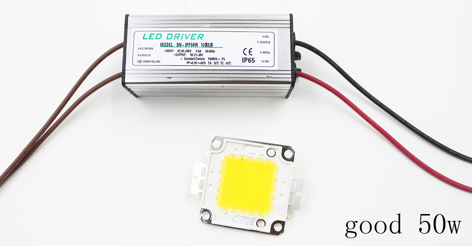 Real Full Watt 10W 20W 30W 50W 100w High Power COB LED chip lampadina con driver LED per proiettore fai da te Spot light Prato