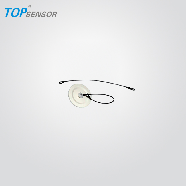 20pcs//lot black color eas security tag eas Steel Wire Loop /& pin.Retail Tagging
