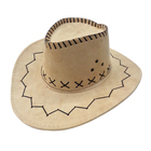 Canadian cattleman crazy cooling men plain suede logo western cowboy hat