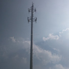 Year-end promotion camouflaged GSM monopole tree tower