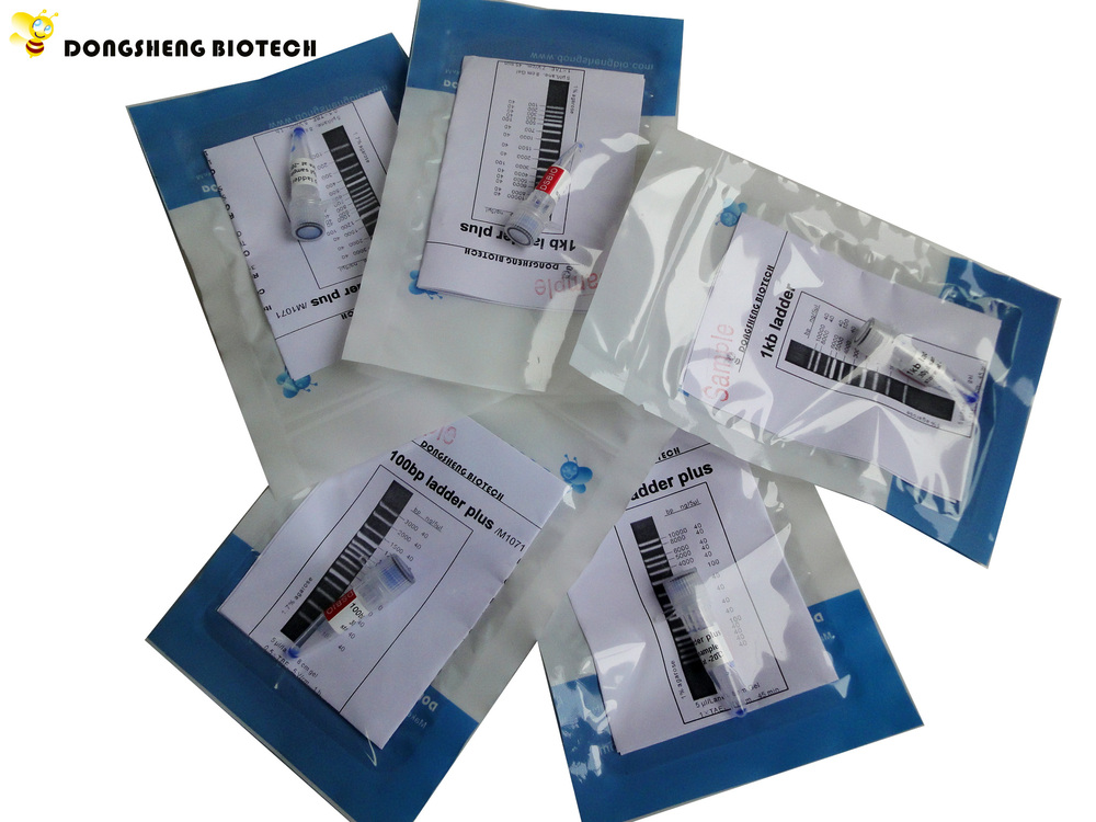 Буфер электрофореза ДНК 10× Tae в геле M9022 500ml