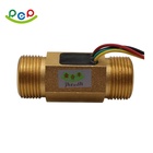 Electronic Water Flow Magnetic Control Switch