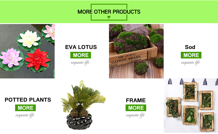 shanghai or ningboport24pcs / inner boxes, 288 pcs/ carton