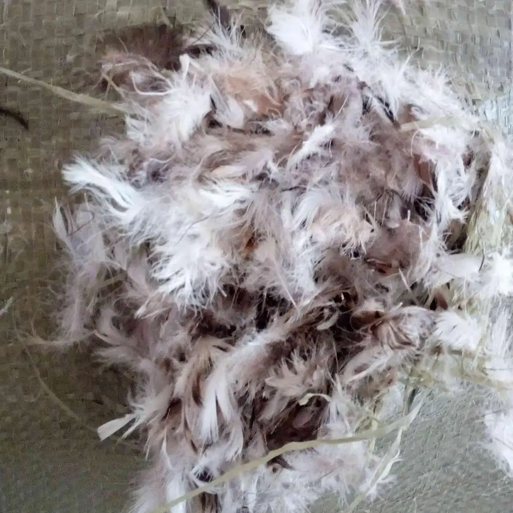 wholesale washed 2-4cm 4-6 cm 2-6 cm natural grey duck feather filling material