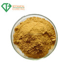 100% Nature Supplement Spinach Powder 10% Ecdysterone Powder
