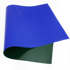 Color 2000DX2000D pvc coated inflatable fabric