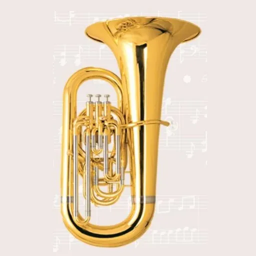 Brass Gold Lacquer Eb Tone Tuba