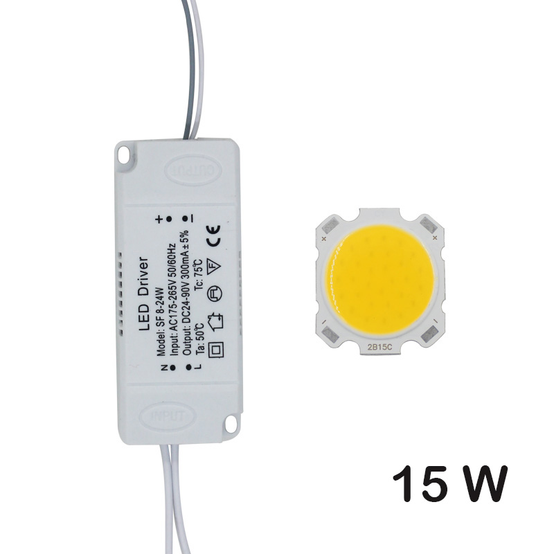 LED COB lampe perle 10W-30W puce de Source de lumière + adaptateur d'alimentation de pilote de LED blanc froid/chaud/naturel pour le spot LED bricolage