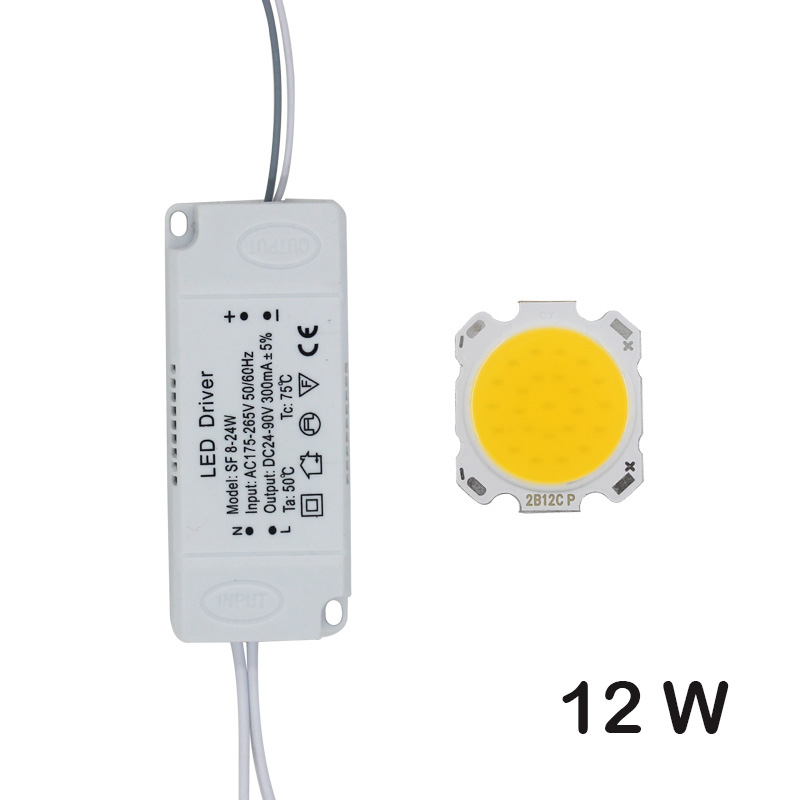 LED COB lampe perle 10W-30W puce de Source de lumière + adaptateur d'alimentation de pilote de LED blanc froid/chaud/naturel pour le spot LED bricolage