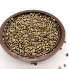 Wholesale 99% Organic Industrial Hemp Seed 25KG from Leading Exporter