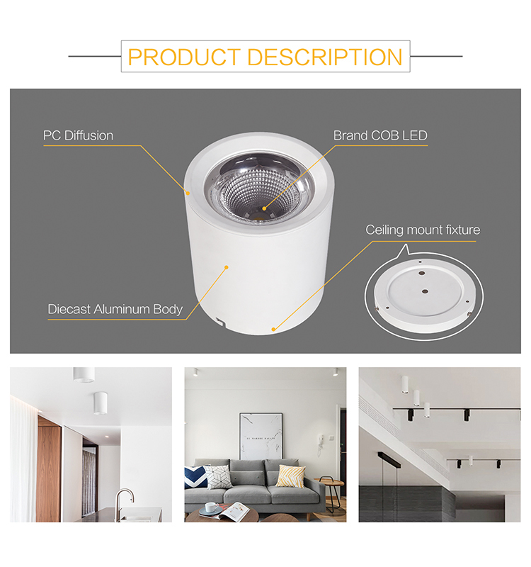Dimmable Square Fixture Downlight Round Lamp Cylinder Cob Down 24w Led Surface Mount Ceiling Light