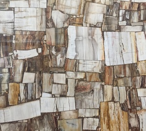 Petrified Wood Slab Petrified Wood Slab Suppliers And