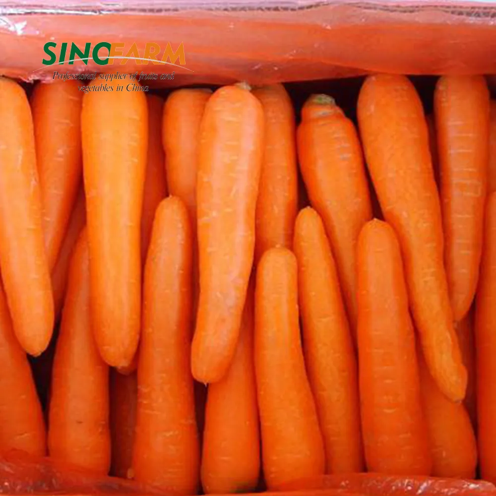 Гидропоники системы свежей моркови