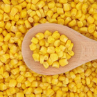 Green vegetable sweet corn seed for delicious food