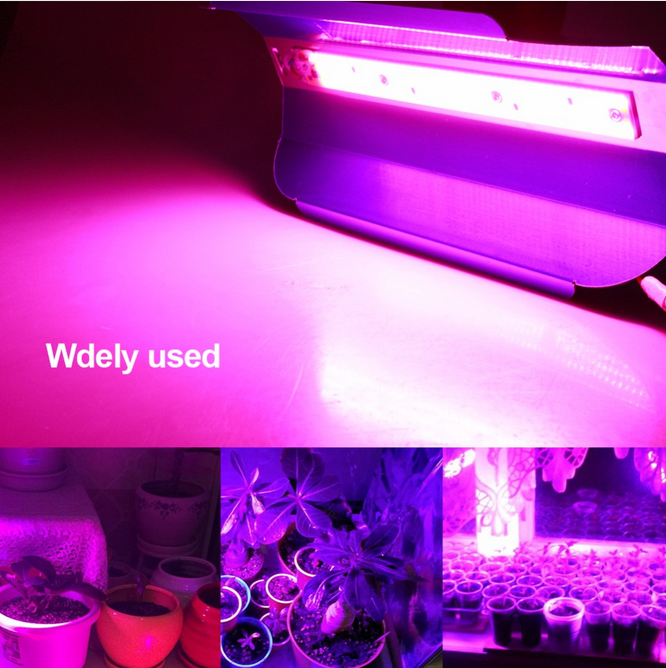 COB lineaire aandrijvingsvrije schijnwerper explosieveilig tunnellicht buiten explosieveilige schijnwerper volledig spectrum 20W 30W 50W