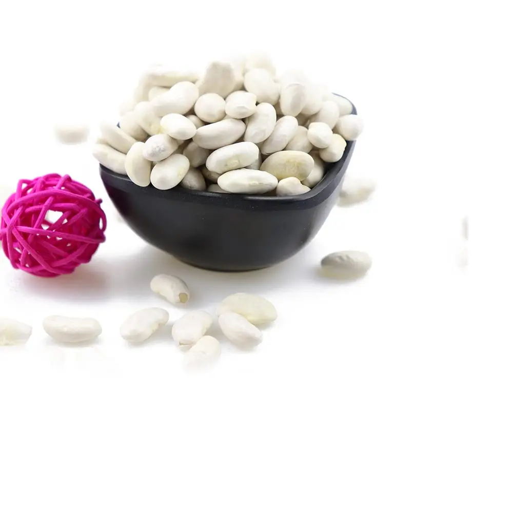 Bulk Dried White Kidney Beans For Canned Food With Best Price
