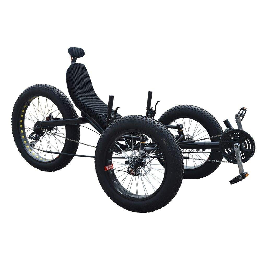 zzmerck recumbent trike