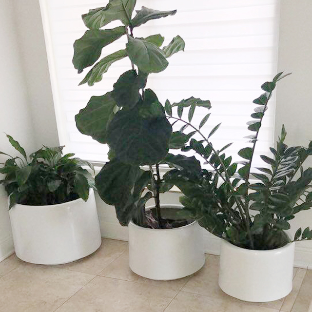 Wholesale Outdoor Indoor White Large Stand Garden Fiberglass Flower Pot