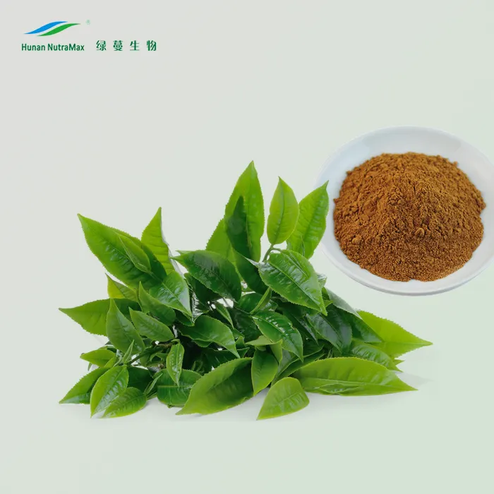 Food Grade Pure Green Tea Powder EGCG 95% Catechin Powder