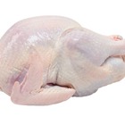 halal fresh frozen bone in whole chicken