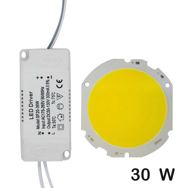 LED COB lampe perle 10W-30W puce de Source de lumière + adaptateur d'alimentation de pilote de LED blanc froid/chaud/naturel pour le spot LED bricolage