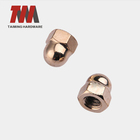 M3-M24 DIN 1587 acorn with cooper plating carbon steel nut hex head cover nut