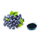ISO Certificated 100% Natural Blueberry Extract Powder Anthocyanosides 25%/Anthocyanosides 36%