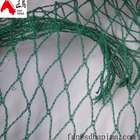 Factory Low Price Guaranteed Seedling Crops Protection Anti Bird Proofing Nets