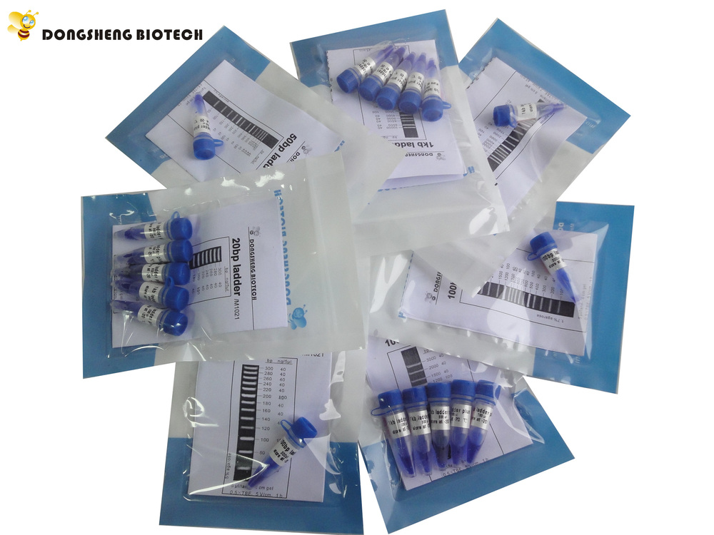 Буфер электрофореза ДНК 10× Tae в геле M9022 500ml