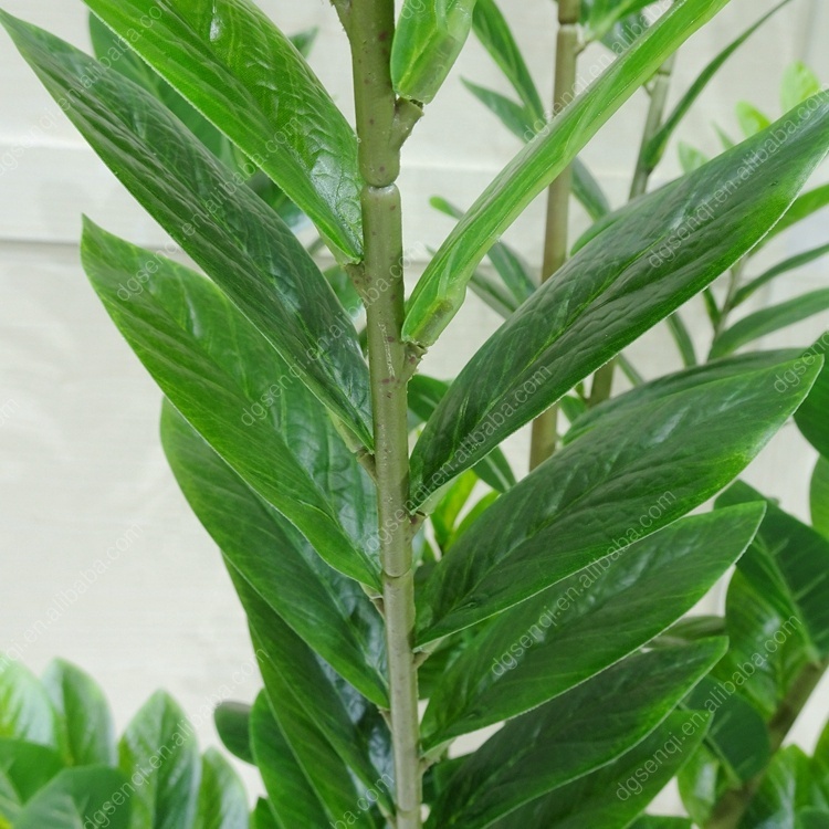 110cm china factory good quality for home artificial Feng Shui Money Tree Plants