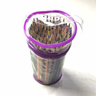 100 Colors Pencil Set, PVC bag with handle Pack