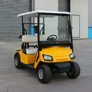 electric buggy price