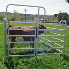 Heavy Duty Portable Galvanized Pipe Used Horse Corral Panels