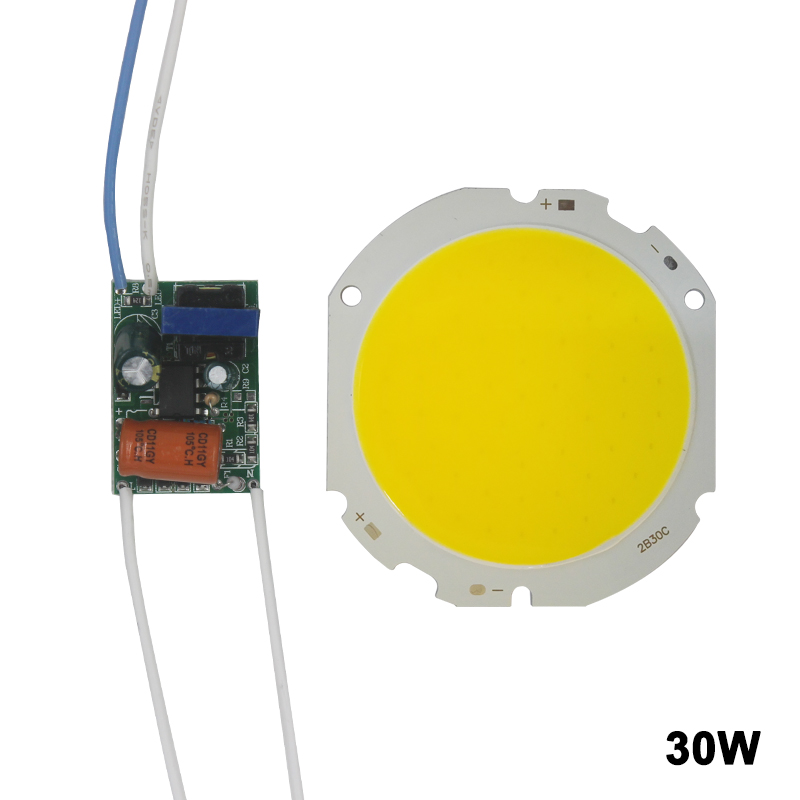 LED COB lampe perle 10W-30W puce de Source de lumière Conversion de commutateur froid/chaud avec adaptateur d'alimentation de contrôle de Segment pilote de bricolage
