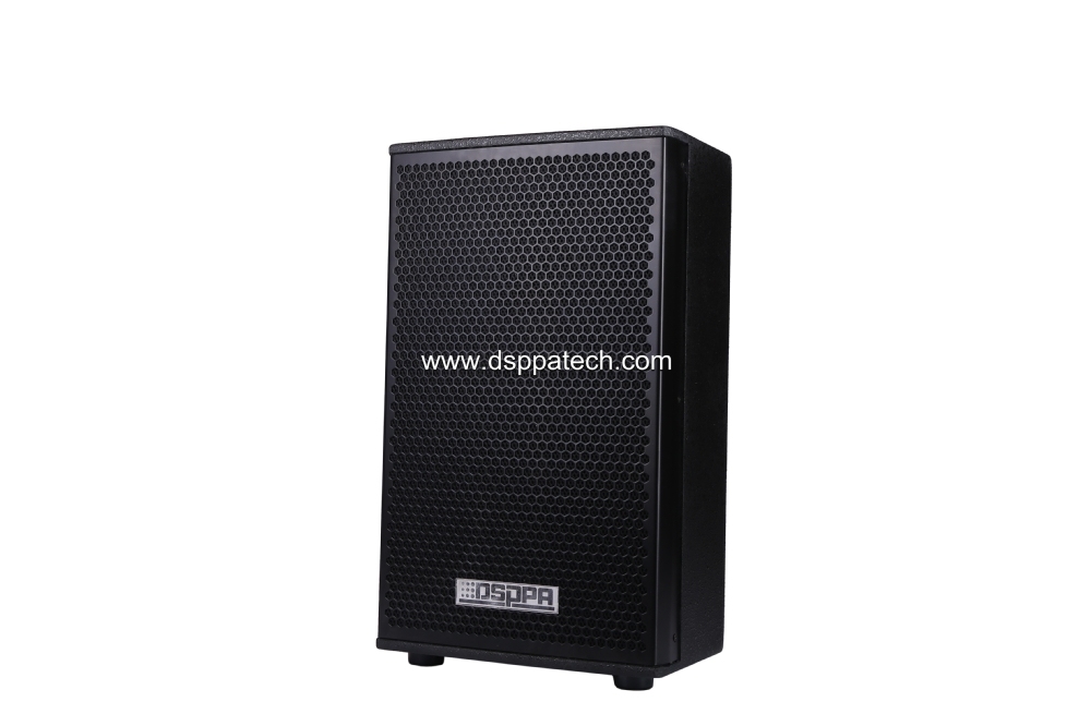 200W 10'' Professional 2 Way Conference Room Speaker