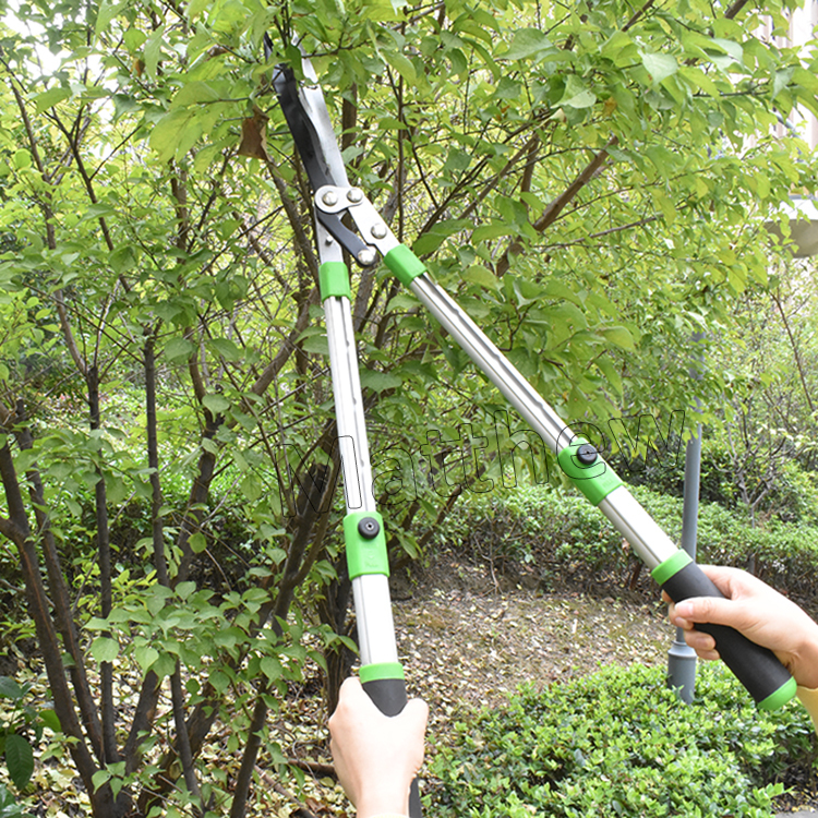 Telescopic Gardening Tool Lopping Shears