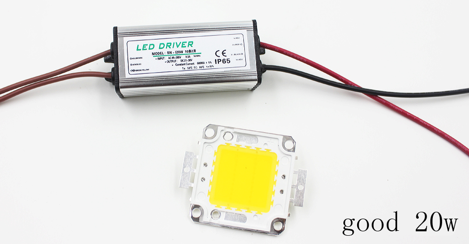 Real Full Watt 10W 20W 30W 50W 100w High Power COB LED chip lampadina con driver LED per proiettore fai da te Spot light Prato