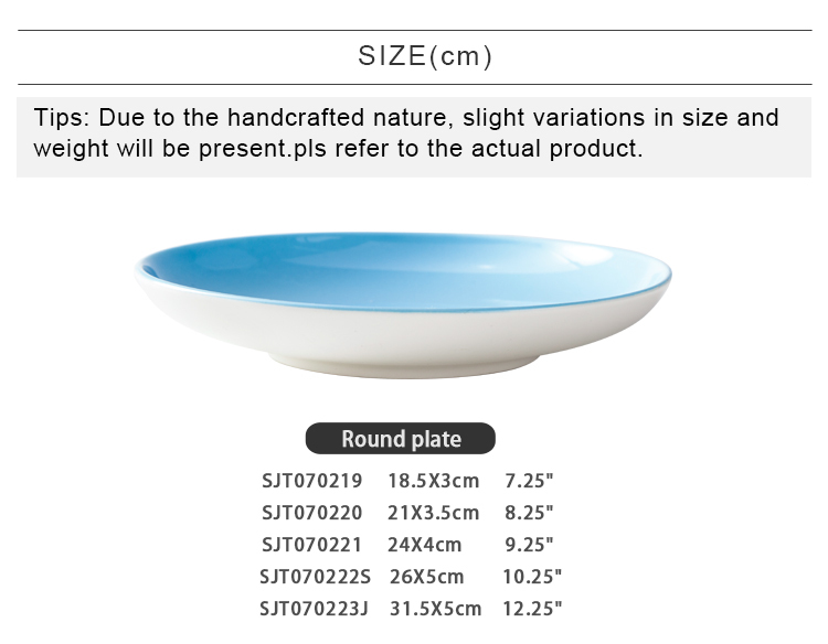 Restaurant Serving Plate OEM ODM Food Grade Dishes Porcelain Blue