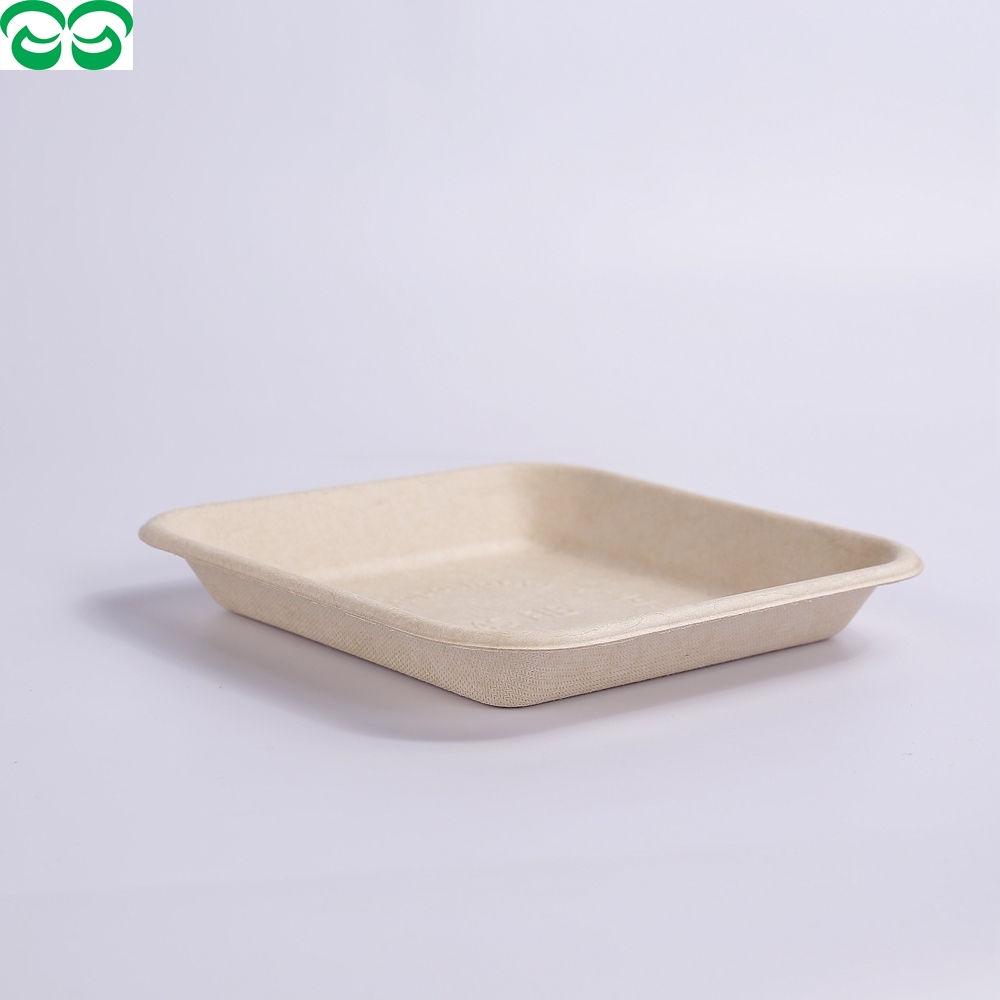 Dinnerware Sets bagasse Tray