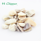 Best selling china supplier crushed shell for sale