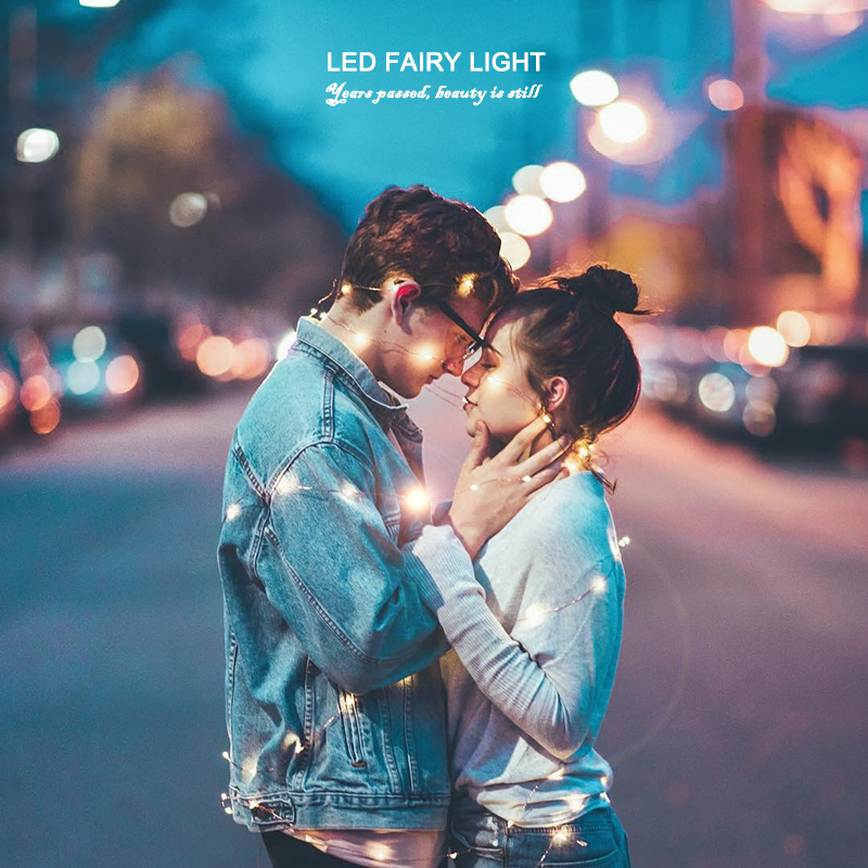 Novelty 2M 20leds LED Copper Fairy Night Light Waterproof Garland Lamp for Garden Christmas Wedding Party Decoration Lighting