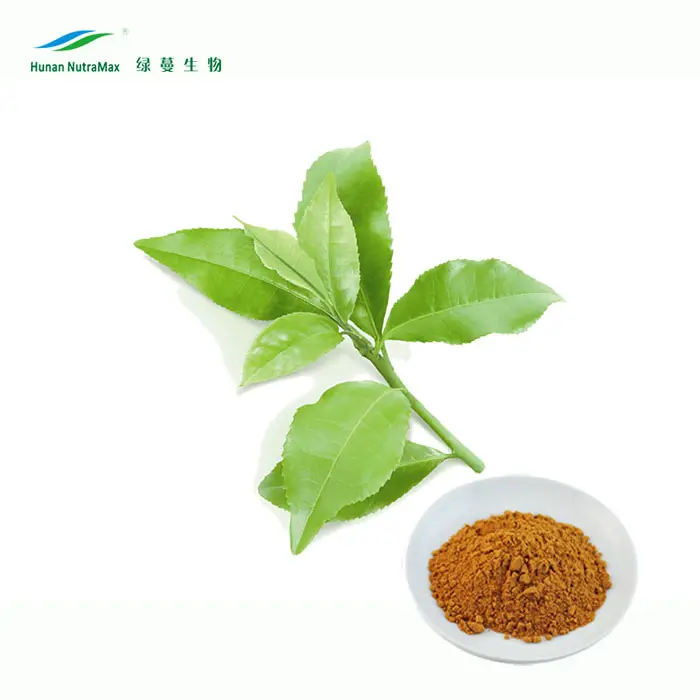 Green Tea Extract Tea Polyphenols Catechins EGCG10%-98% Instant Green Tea Powder